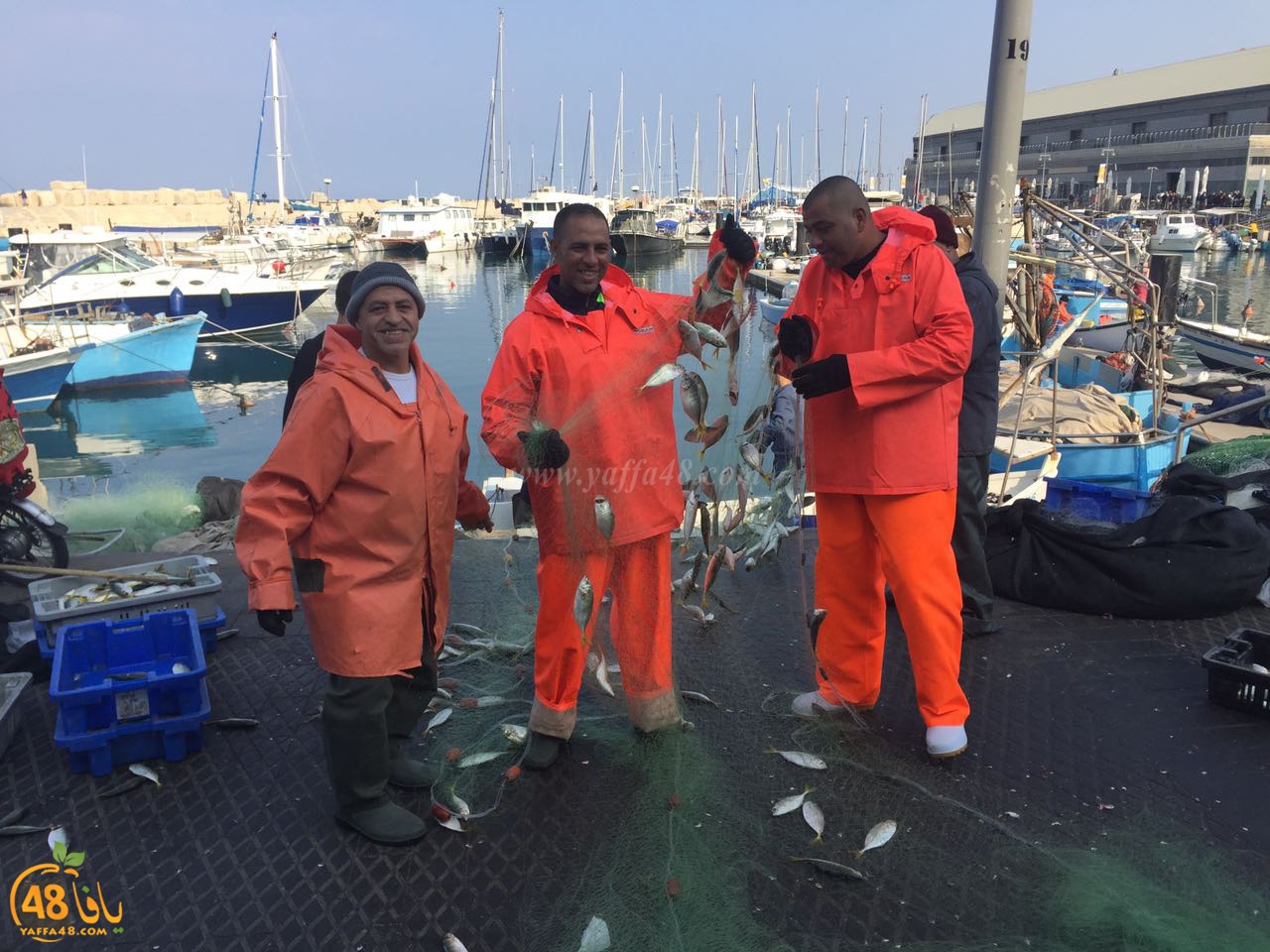 asmak torglos (1).jpg